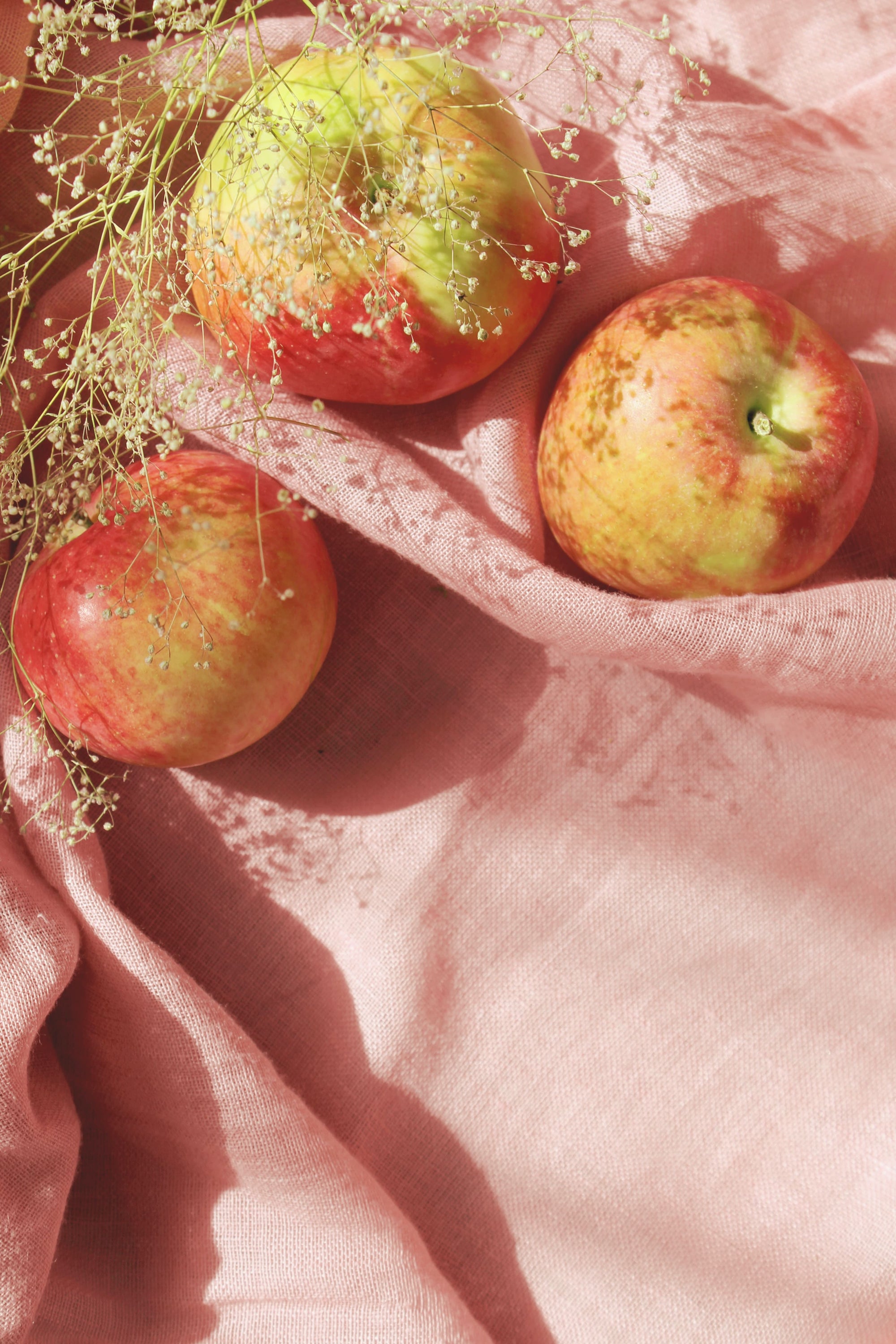 AppleSkin™ - How to revolutionize an entire industry